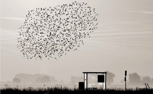 Fotografia de Annemieke Stuij