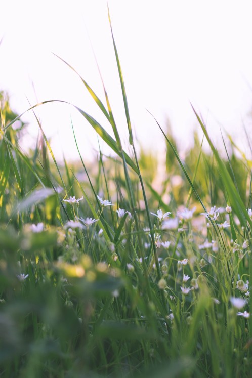 Fotografia de Valeria Luisa